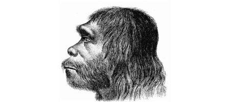 Humans didn't breed with Neanderthals