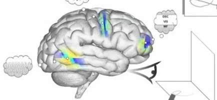 Artificial brain 'Spaun' passes IQ tests