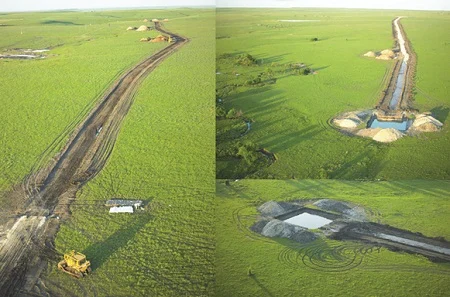 Can wind power and wildlife coexist?