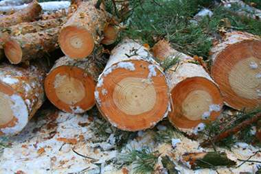 Comparing Fukushima to the cold light of Chernobyl