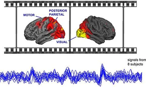 Report: Movies synchronize minds