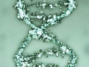 Lockheed Martin builds DNA lab on a single chip