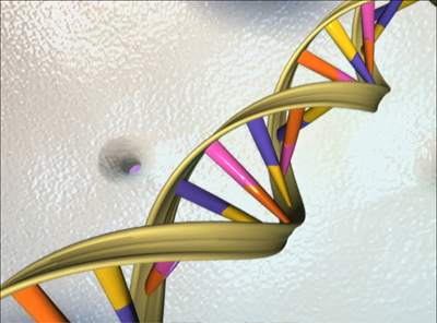 Analysis: DHS plans on scanning DNA at checkpoints