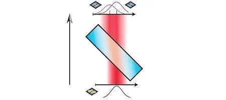 Schrödinger's Cat could be visible after all