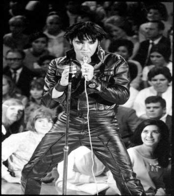 Elvis bypasses biometric border control