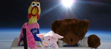 Rubber chicken launched into massive solar storm