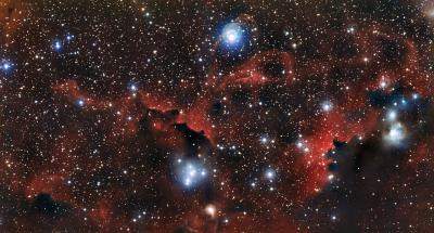 The flight of the Seagull Nebula