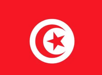 Facebook and Twitter help spur political change in Tunisia