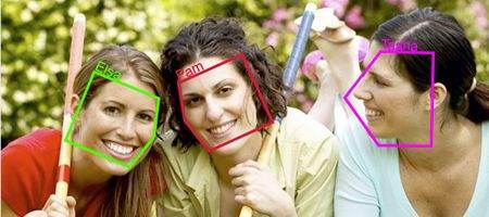 Software animates online photos