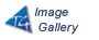 Windows Media Player 11 now available