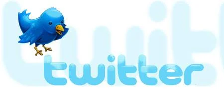 Twitter attack aimed at Georgian blogger