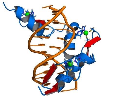 In search of the niceness gene