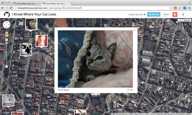 I Know Where Your Cat Lives – even kitties aren't safe