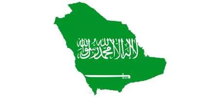 Saudi Arabia bans blogging without a licence