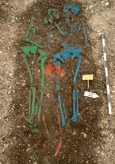 Understanding rise, fall and re-emergence of plague strains