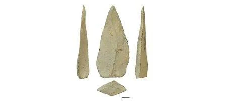 Spears date back to common human/Neanderthal ancestor