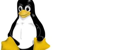 Linux penetrates high schools, healthcare