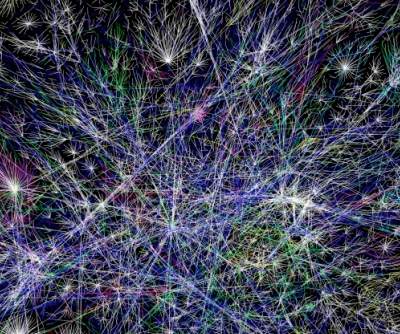 Gamer brains are wired differently