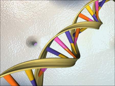 Scientists develop open-source genome analyzer