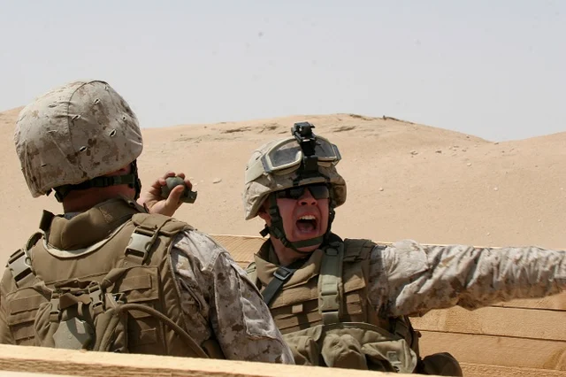 Pentagon eyes advanced EMP grenades
