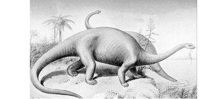 Did dinosaurs fart themselves to death?