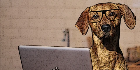 4 tools to help you edit nearly everything