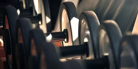 <b> Create your very own gym </b>