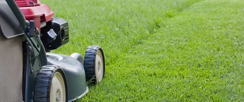 How to buy
the best mower for your lawn