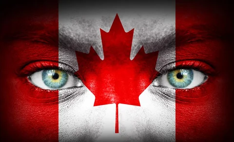 Just blame Canada: lessons to be learned from a Viagra botnet