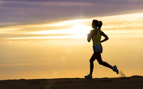 Credit: Watchfit