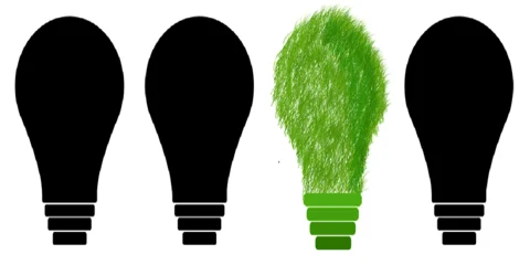 Eco-Friendly