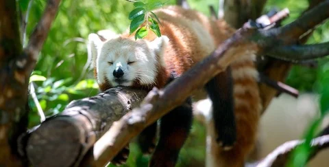 Relax