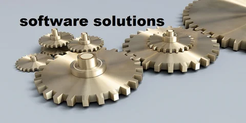 Effective Software Solutions for Business