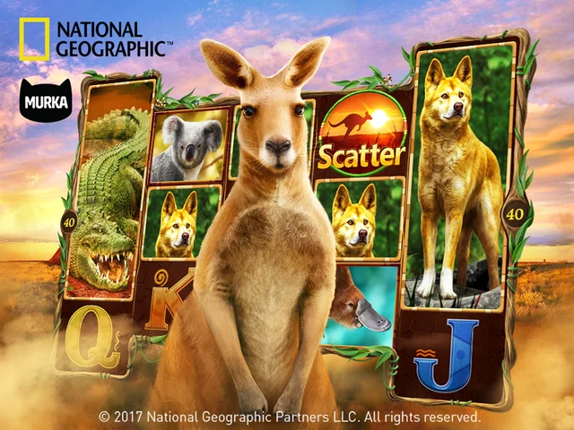 Image credit: Nat Geo Wild Slots via Facebook