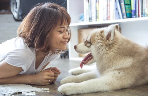 University of Pennsylvania Study
Reveals Health Risk To Your Pets