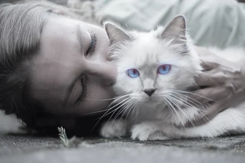 Cat Caring