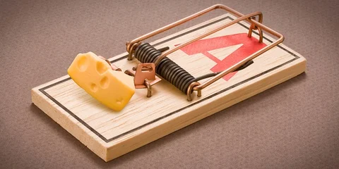 Mouse Traps