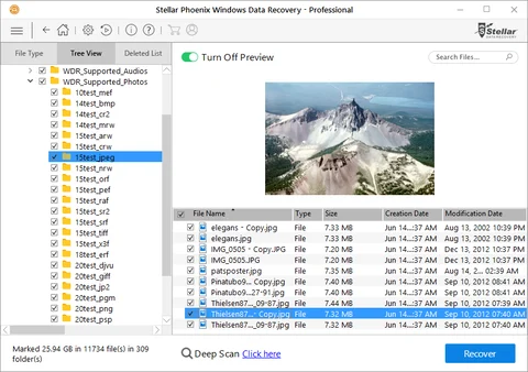 Stellar Phoenix Windows Data Recovery – Professional has got you Recovered