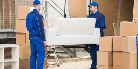 International movers in Japan 
