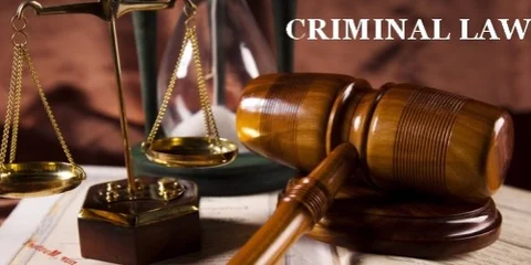 Criminal Lawyer