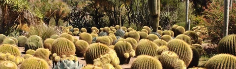The 5 best things to do in Los Angeles