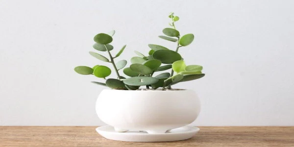 De-stressing activities that you will enjoy regardless of your age