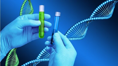 What Can DNA Testing Tell You?