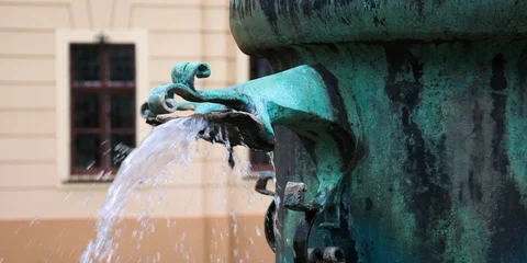 Why should you use a water dispenser?