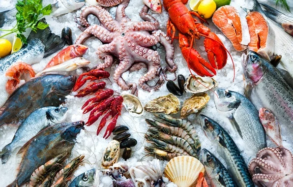 Including seafood in your children’s diet - the guide
