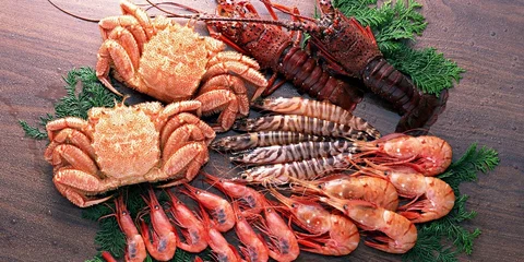 Including seafood in your children’s diet - the guide
