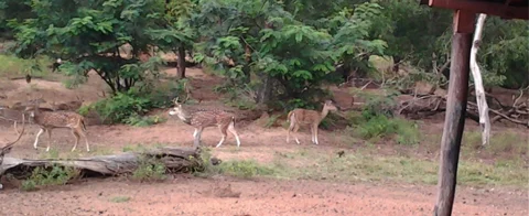 Day trips from Kolkata