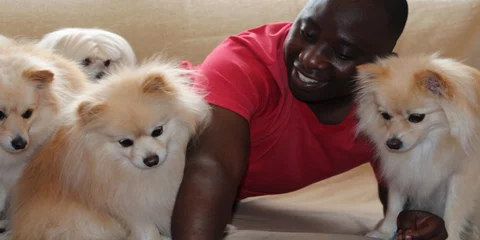 Why Give Your Dog The Best, Limited Ingredient Dog Food?