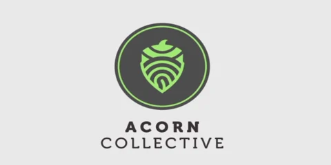 Acorn Collective: The Blockchain-Based Startup Poised to Revolutionize Crowdfunding