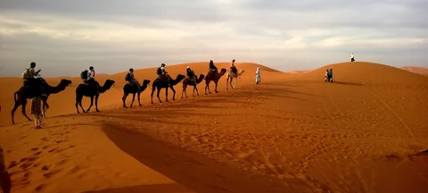 Experience The Desert Safari Dubai At Best Deals